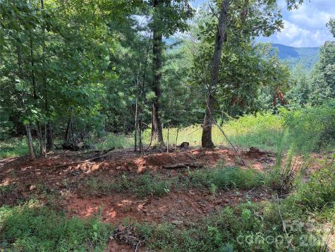 Tbd Lazy Bear Lane Purlear NC 28665