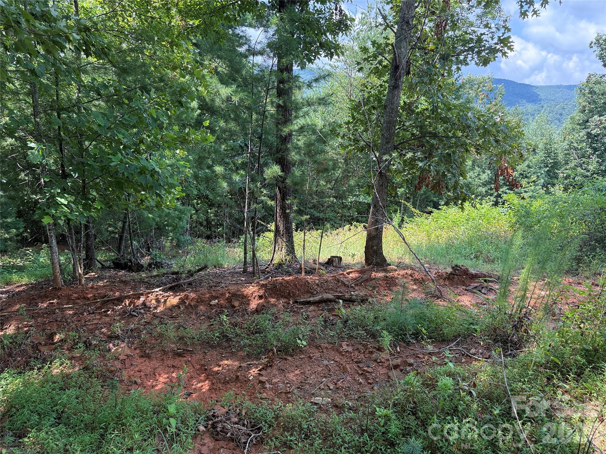 Tbd Lazy Bear Lane Purlear NC 28665