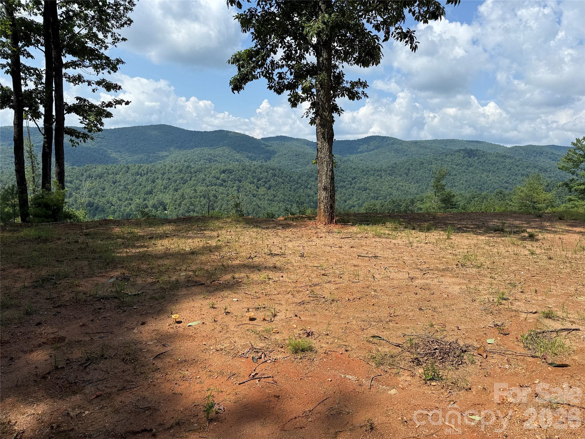 Tbd Lazy Bear Lane Purlear NC 28665