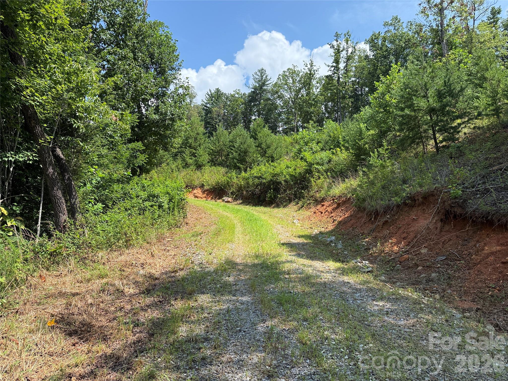 Tbd Lazy Bear Lane Purlear NC 28665