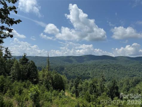 Tbd Lazy Bear Lane Purlear NC 28665