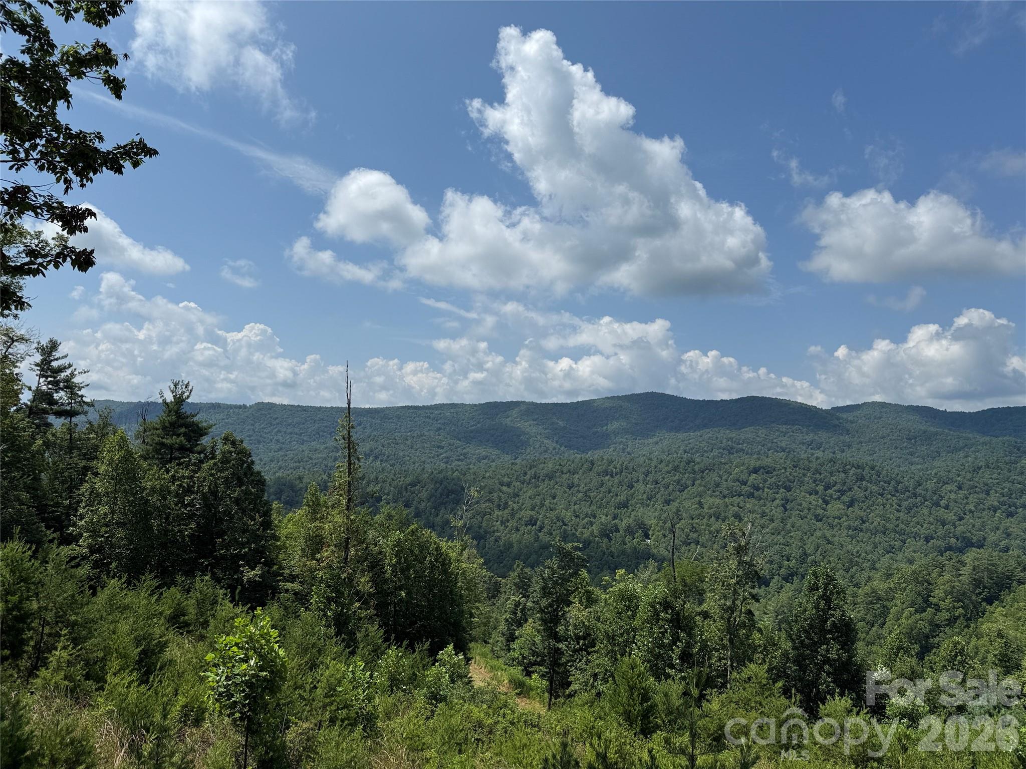 Tbd Lazy Bear Lane Purlear NC 28665