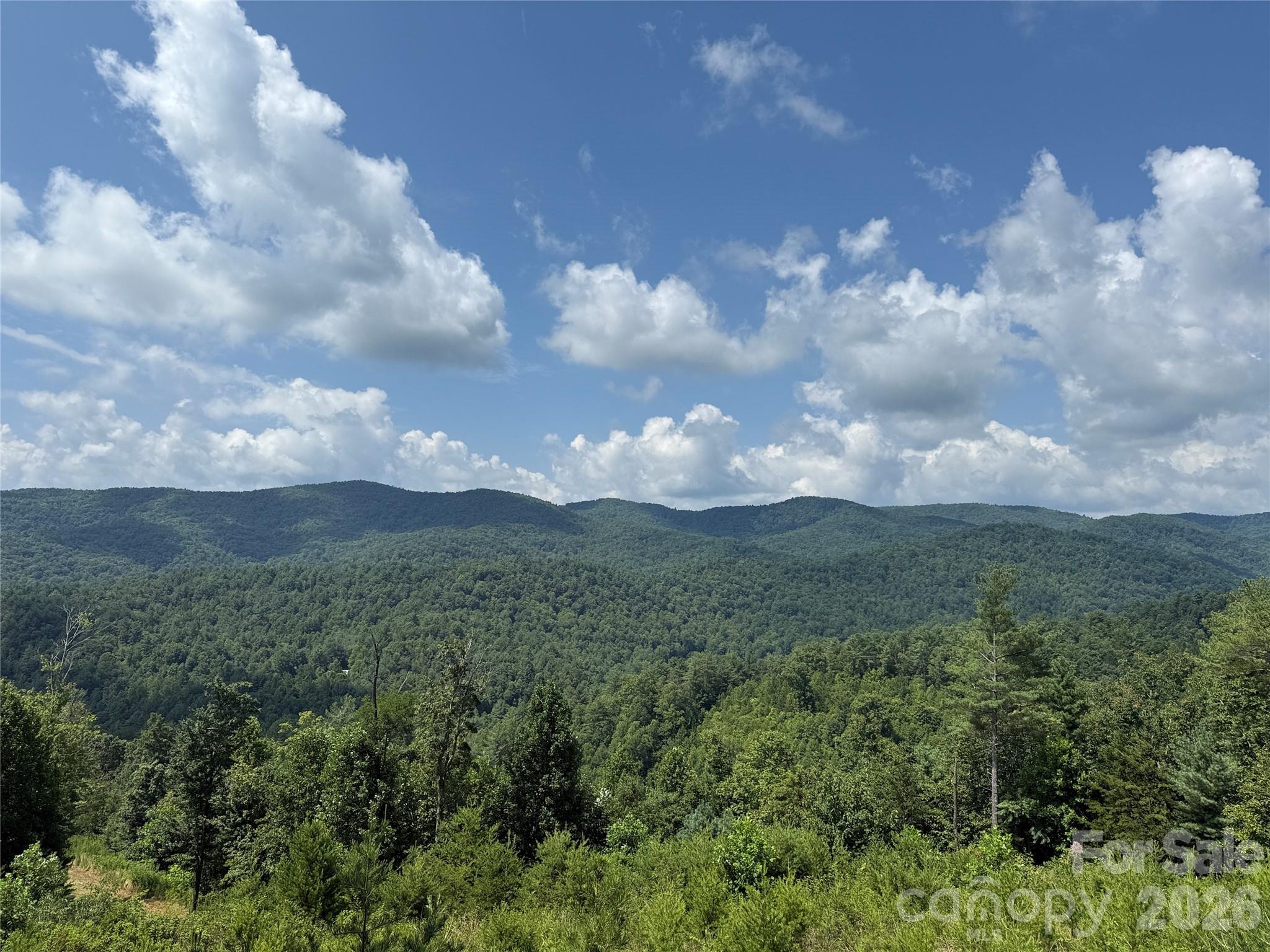 Tbd Lazy Bear Lane Purlear NC 28665