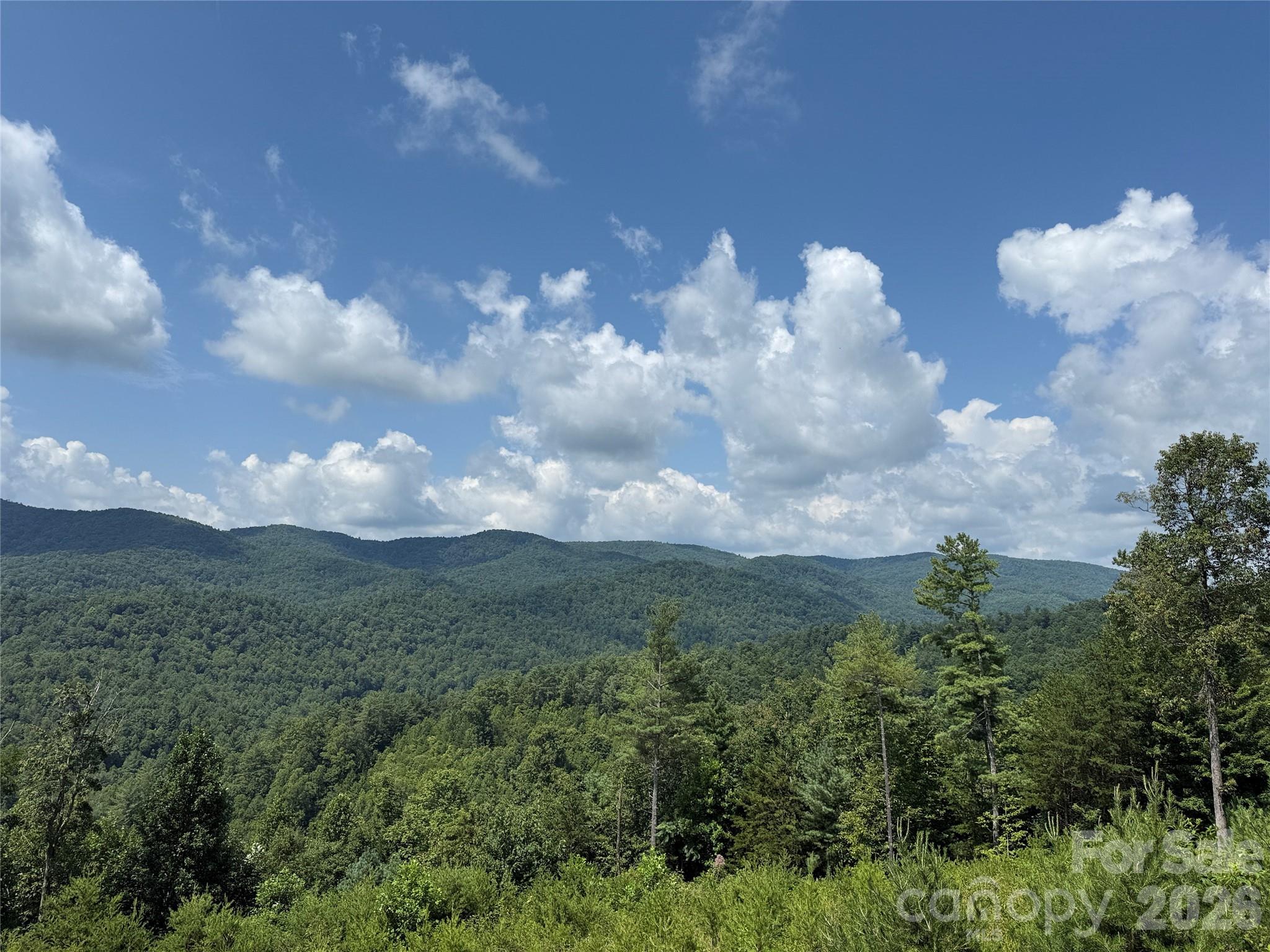 Tbd Lazy Bear Lane Purlear NC 28665