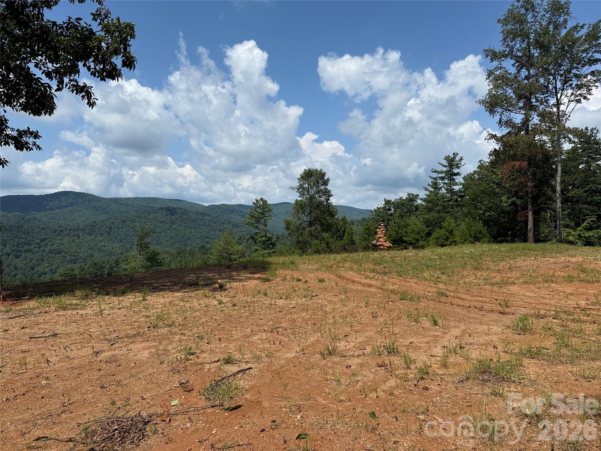 Tbd Lazy Bear Lane Purlear NC 28665
