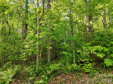 00 Junaluska Oaks Drive Waynesville NC 28786