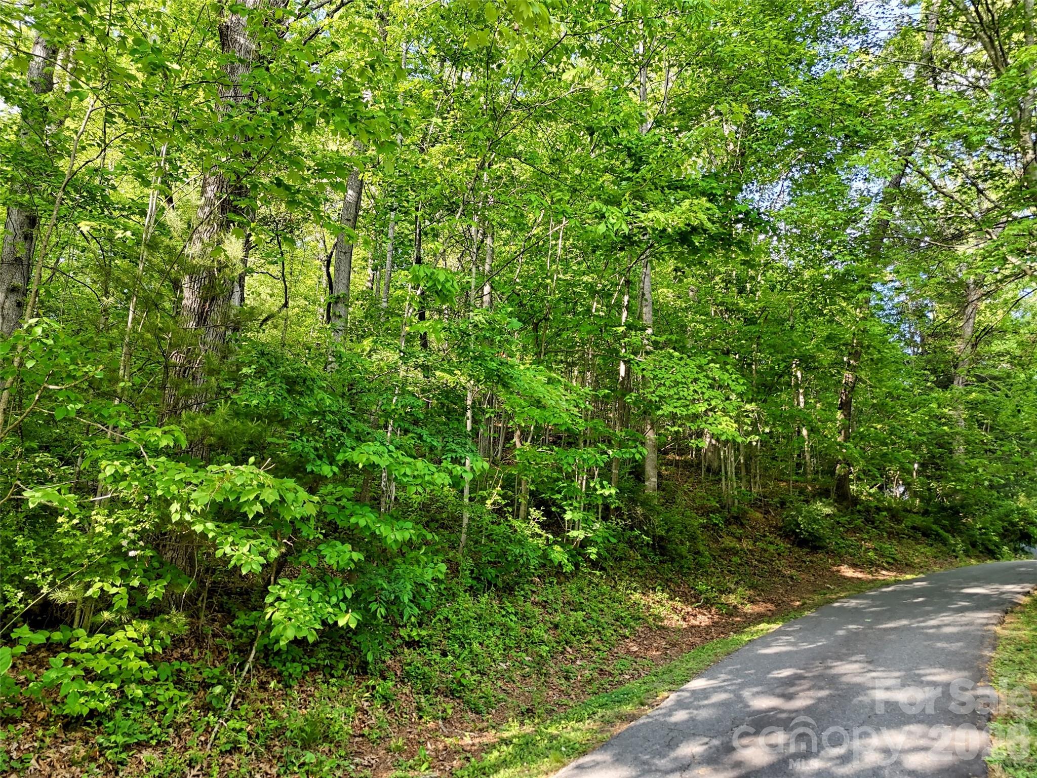 00 Junaluska Oaks Drive Waynesville NC 28786