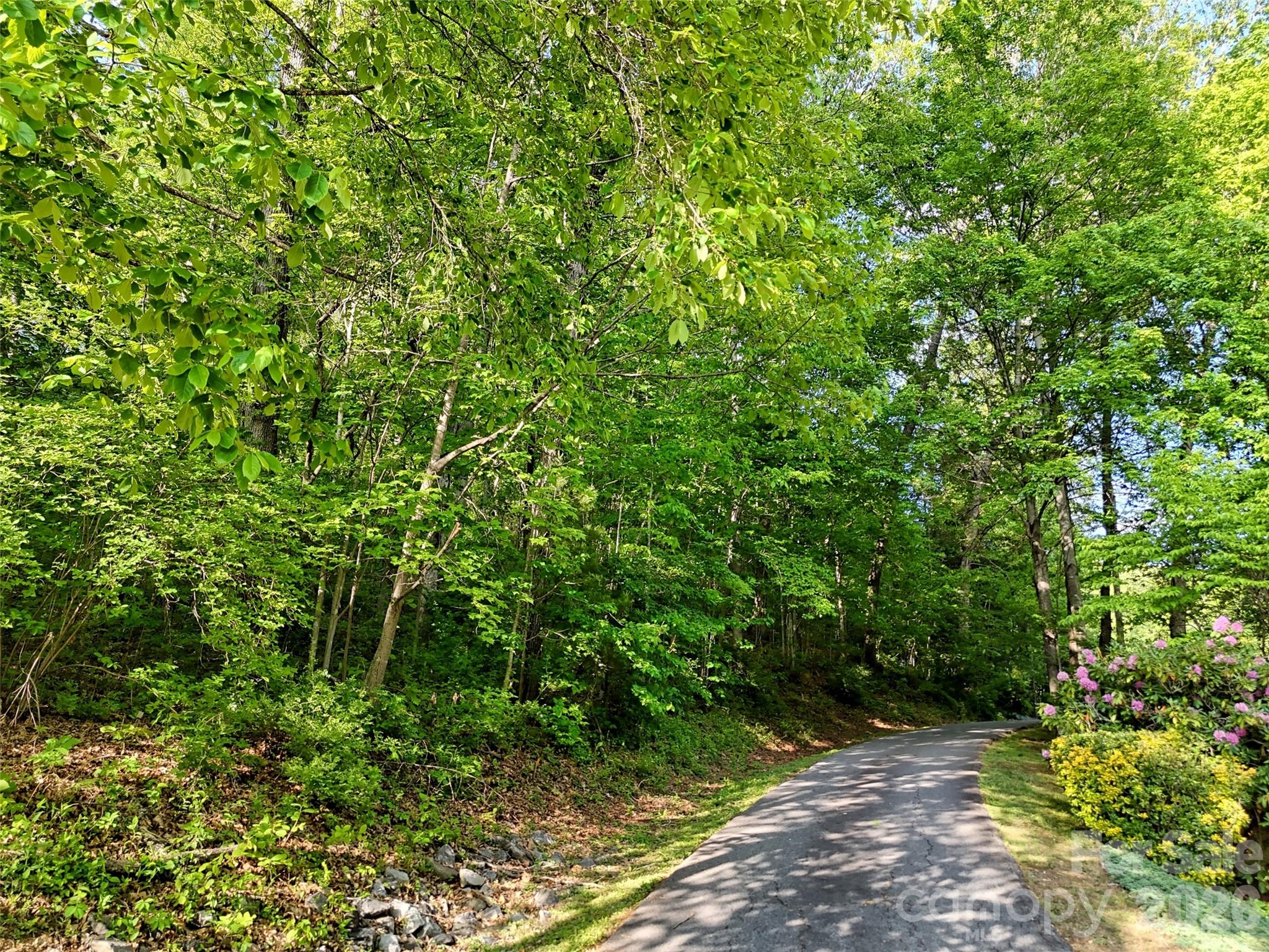00 Junaluska Oaks Drive Waynesville NC 28786