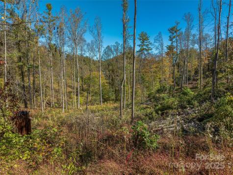 99999 Meadows Town Road Marshall NC 28753