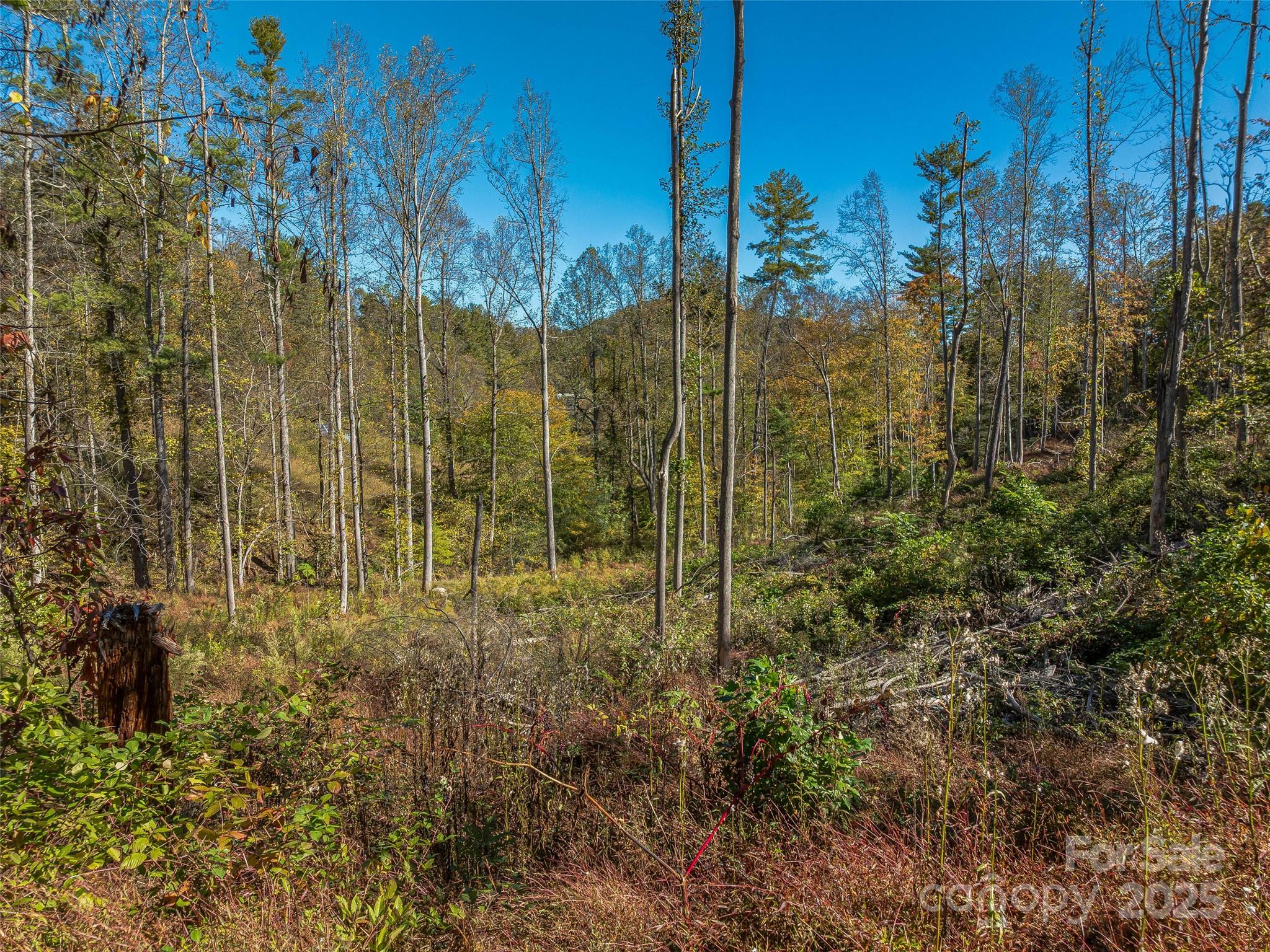 99999 Meadows Town Road Marshall NC 28753