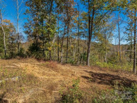 99999 Meadows Town Road Marshall NC 28753