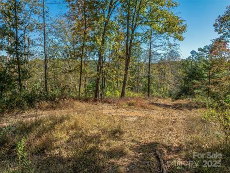 99999 Meadows Town Road Marshall NC 28753