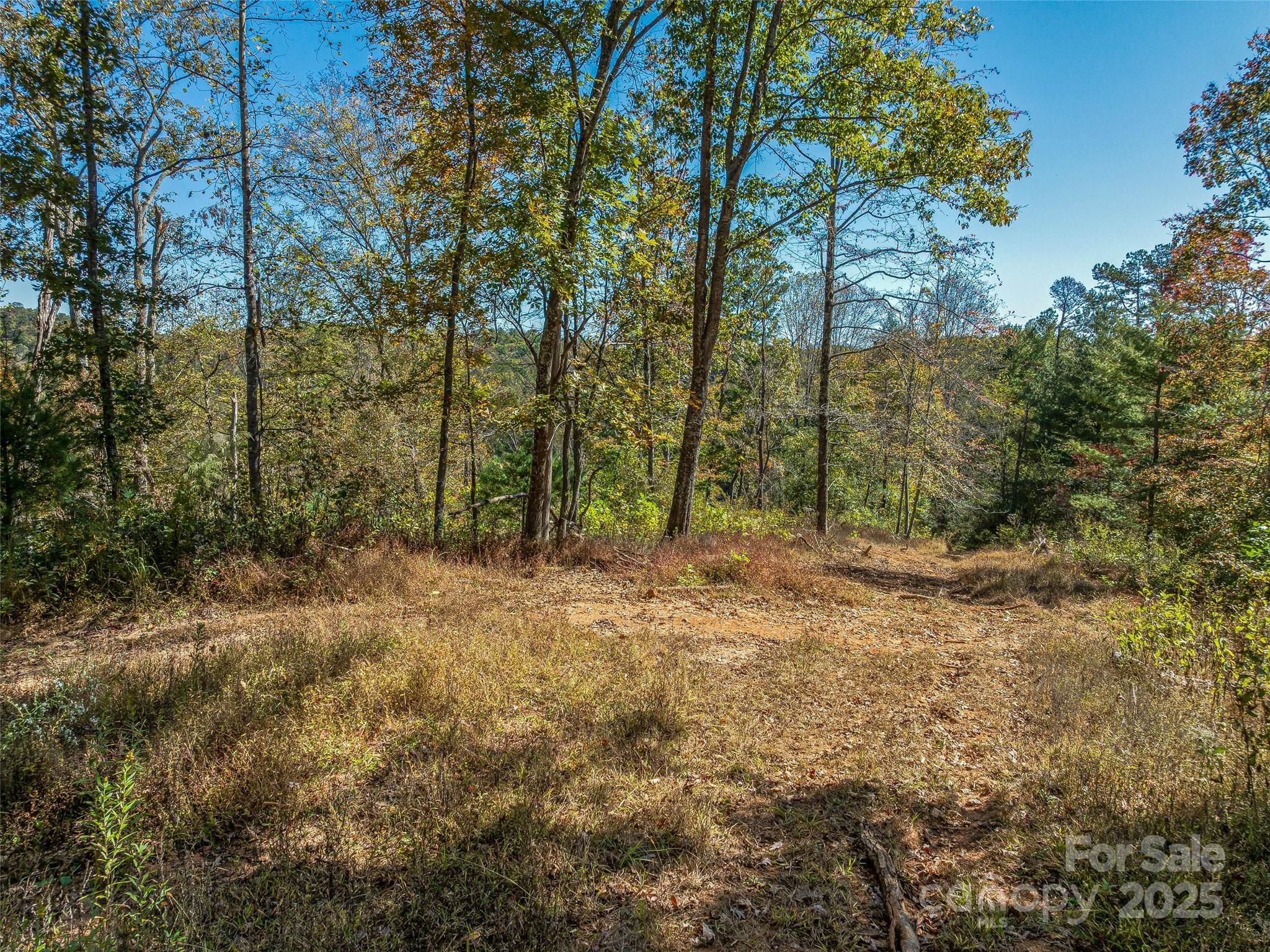 99999 Meadows Town Road Marshall NC 28753