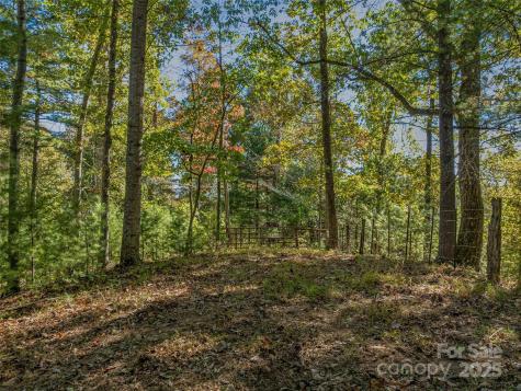 99999 Meadows Town Road Marshall NC 28753