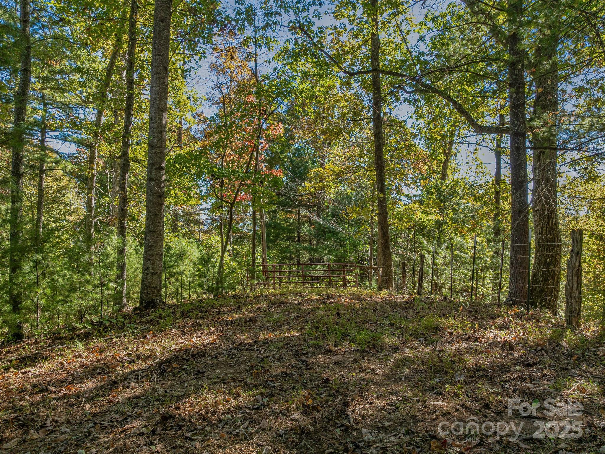 99999 Meadows Town Road Marshall NC 28753