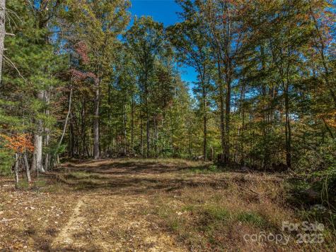 99999 Meadows Town Road Marshall NC 28753