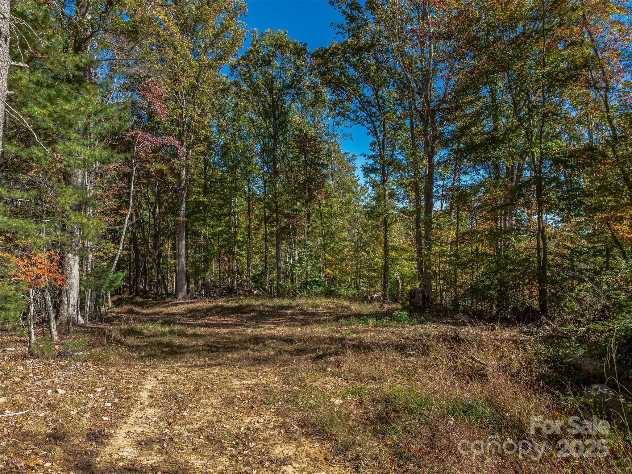99999 Meadows Town Road Marshall NC 28753