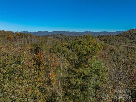 99999 Meadows Town Road Marshall NC 28753
