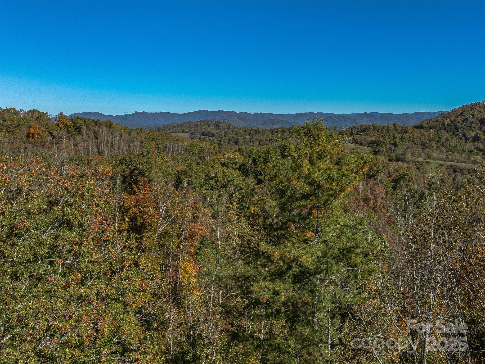 99999 Meadows Town Road Marshall NC 28753