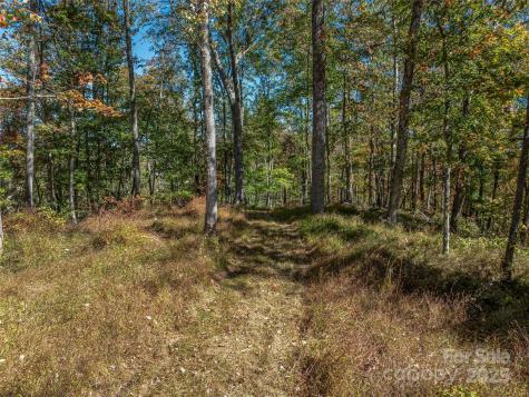 99999 Meadows Town Road Marshall NC 28753