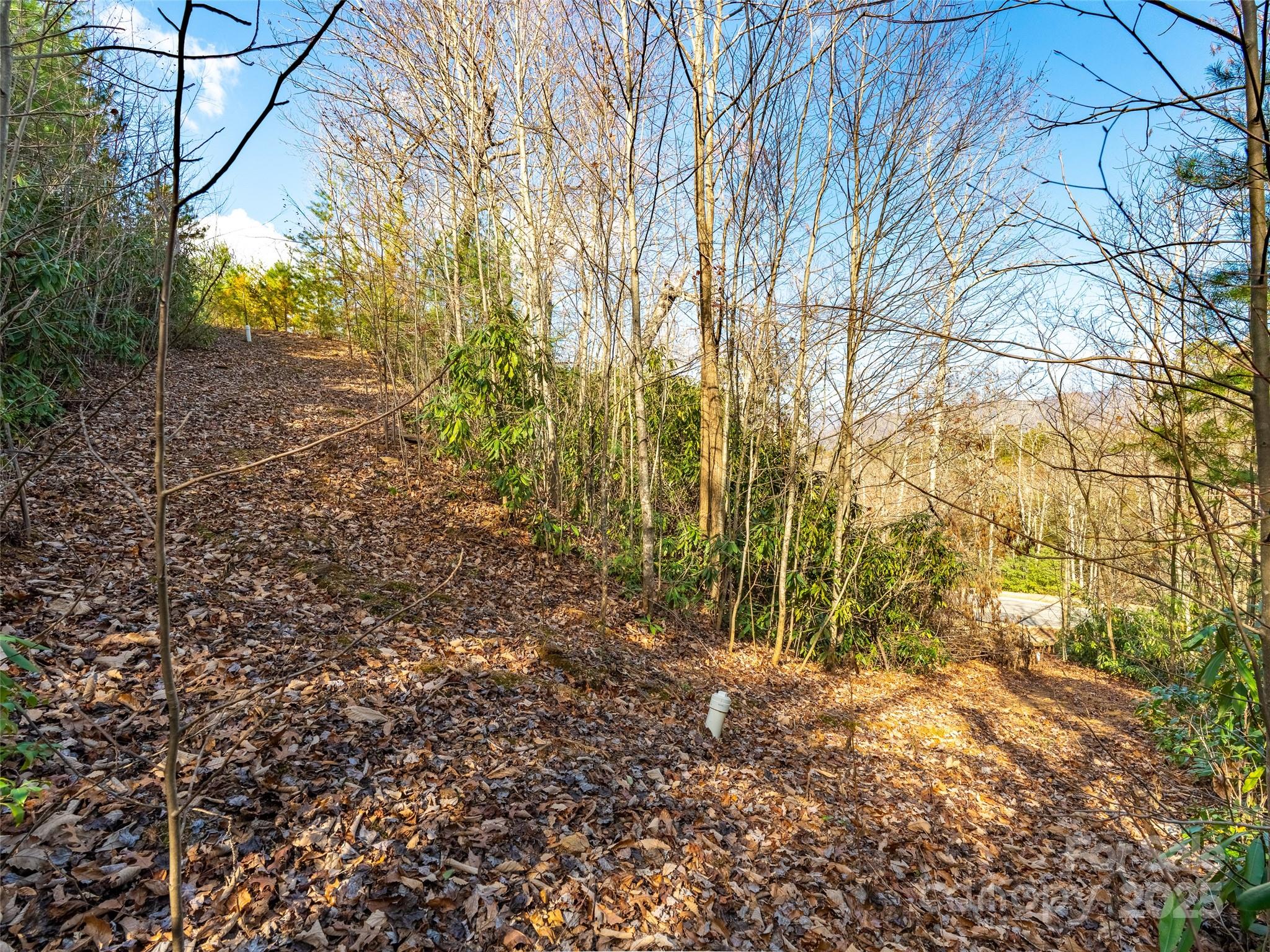 9 Settings Boulevard Black Mountain NC 28711