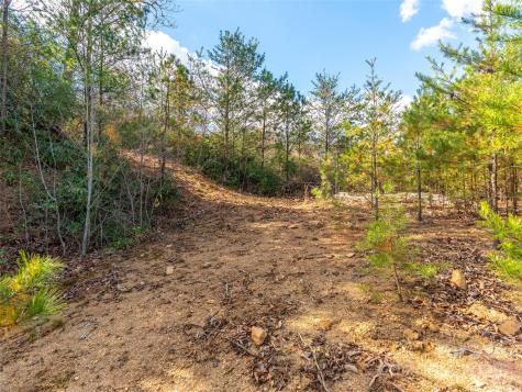 9 Settings Boulevard Black Mountain NC 28711