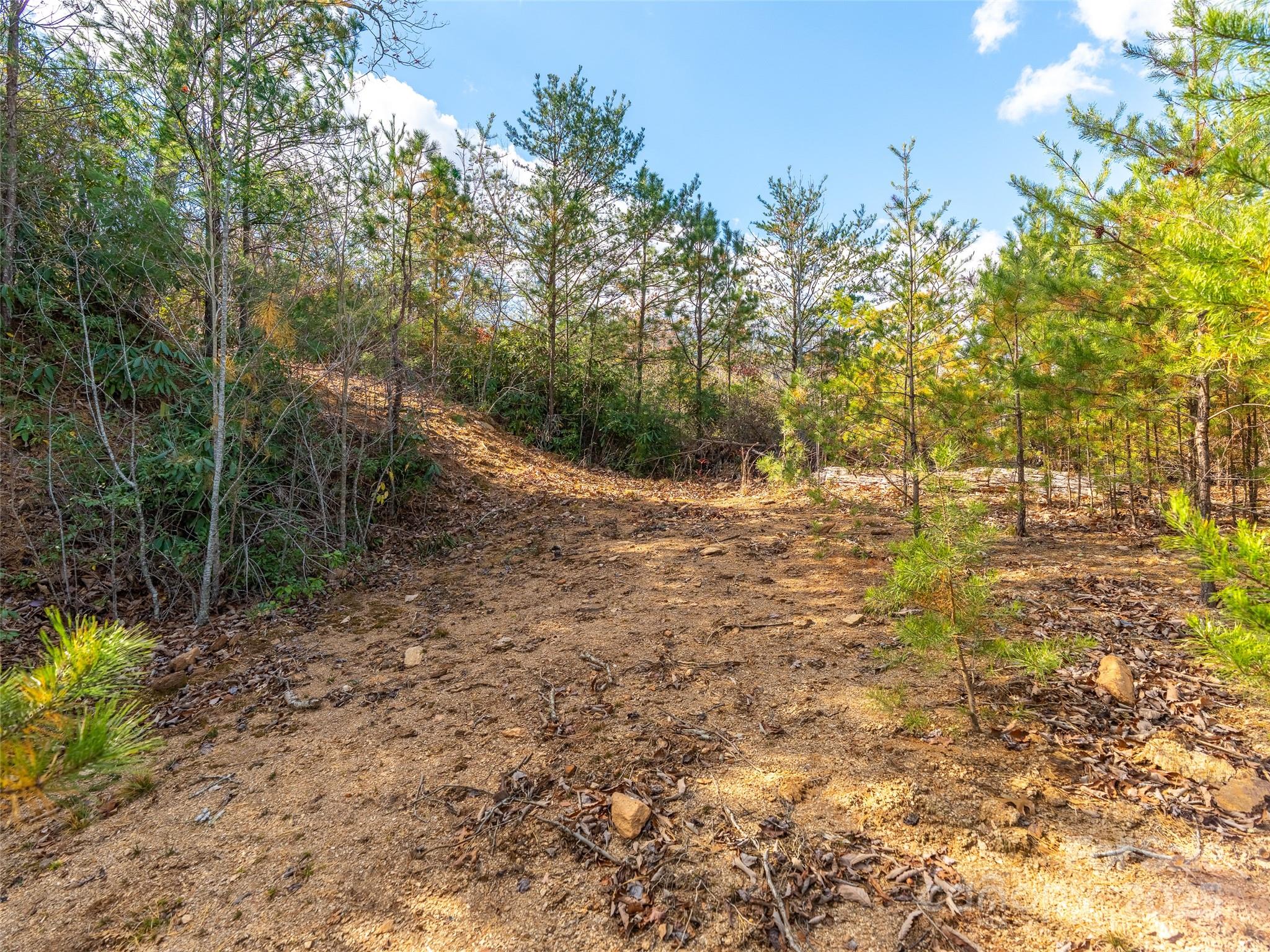 9 Settings Boulevard Black Mountain NC 28711