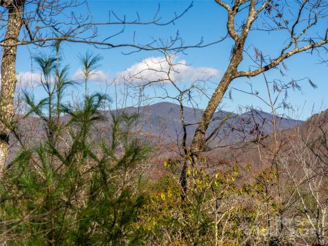 9 Settings Boulevard Black Mountain NC 28711