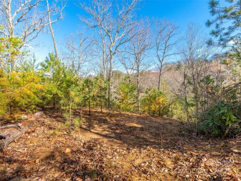 9 Settings Boulevard Black Mountain NC 28711