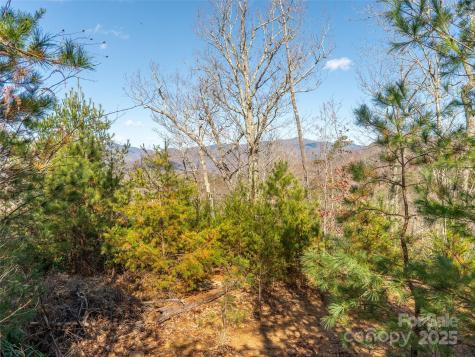 9 Settings Boulevard Black Mountain NC 28711
