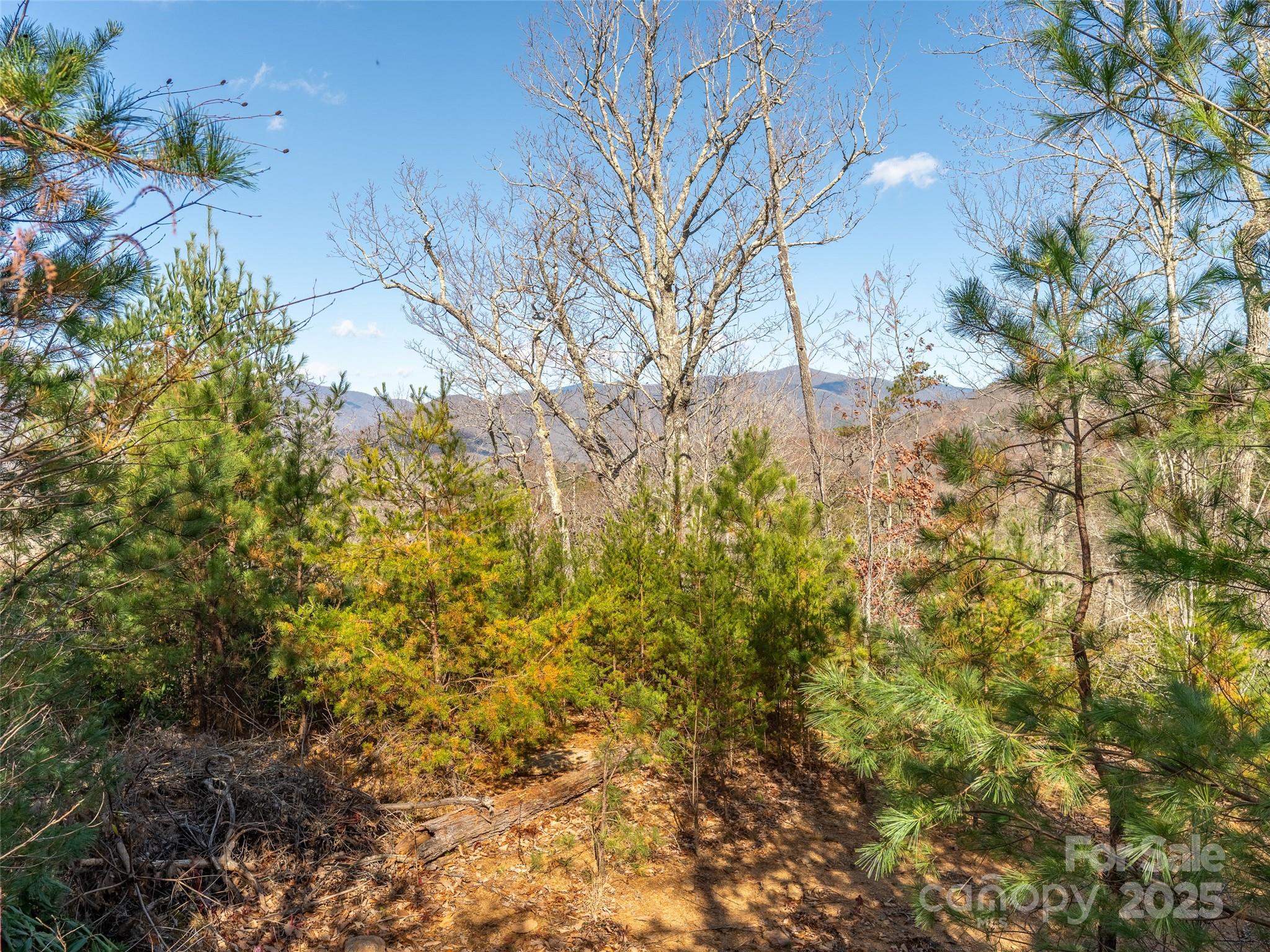 9 Settings Boulevard Black Mountain NC 28711