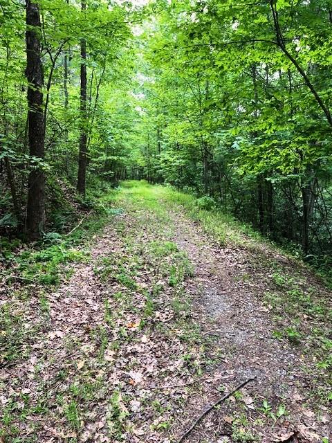 Lot 46 Lake Adger Parkway Mill Spring NC 28756