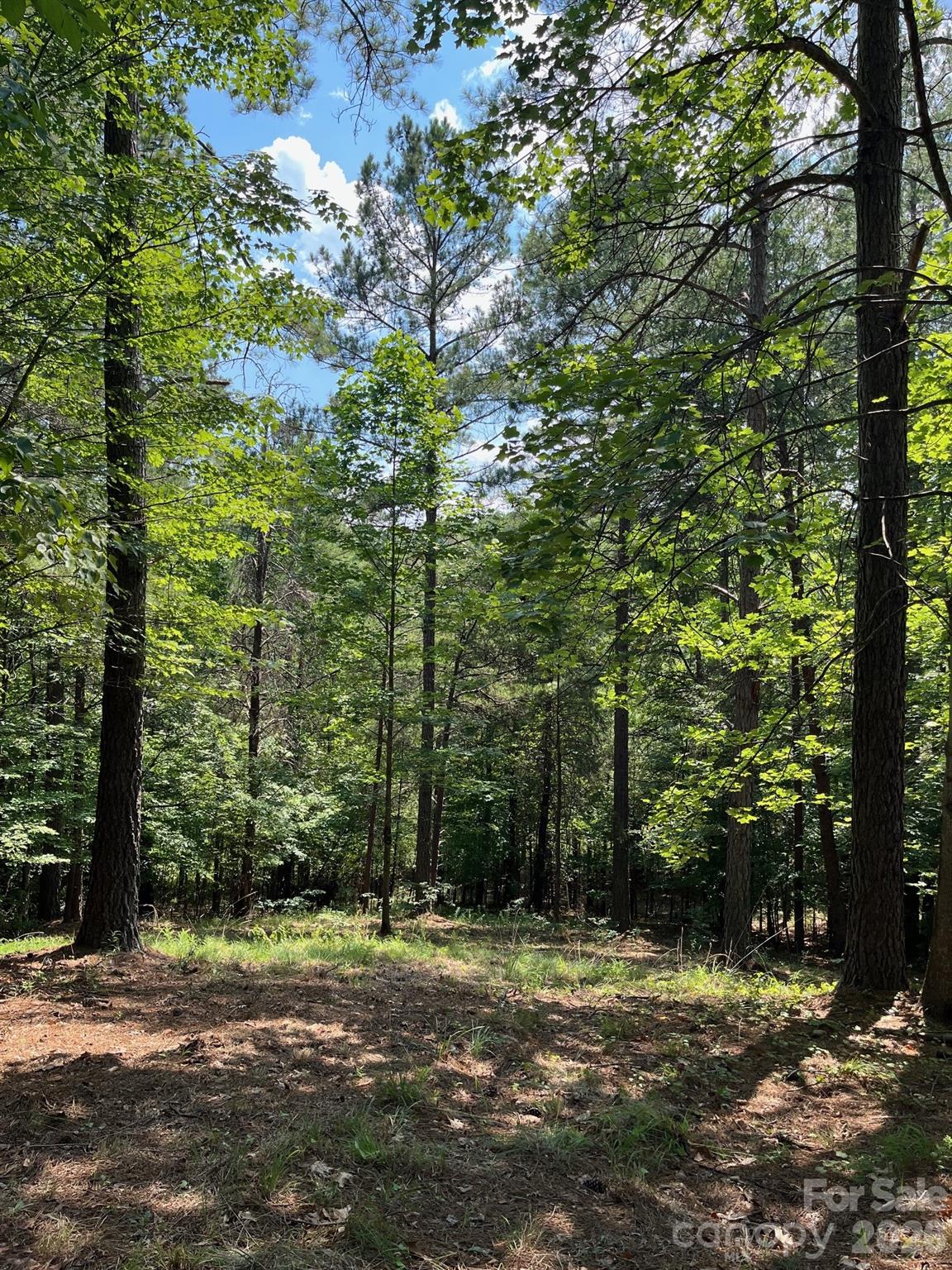 Lot 46 Lake Adger Parkway Mill Spring NC 28756