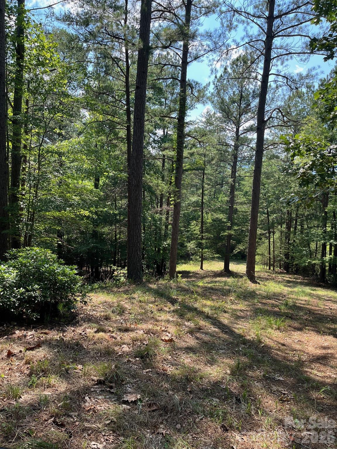 Lot 46 Lake Adger Parkway Mill Spring NC 28756