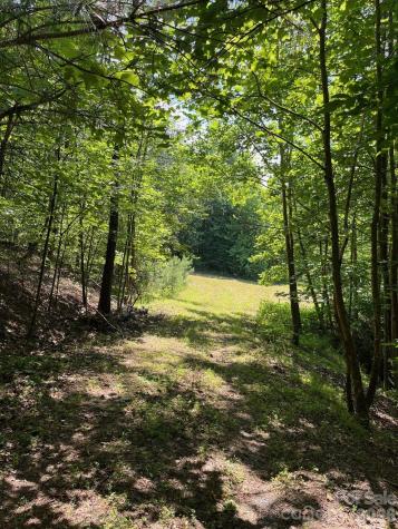 Lot 46 Lake Adger Parkway Mill Spring NC 28756