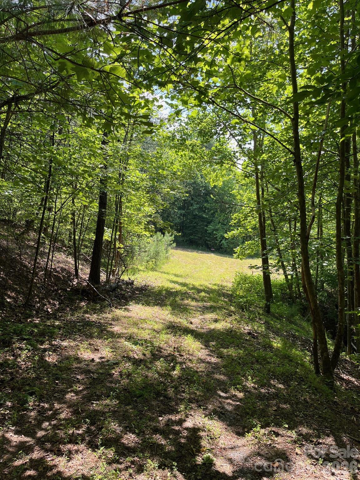 Lot 46 Lake Adger Parkway Mill Spring NC 28756