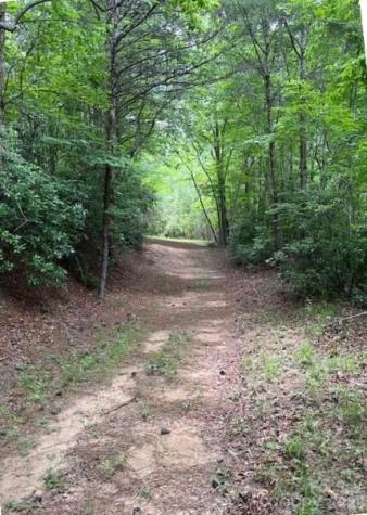 Lot 46 Lake Adger Parkway Mill Spring NC 28756
