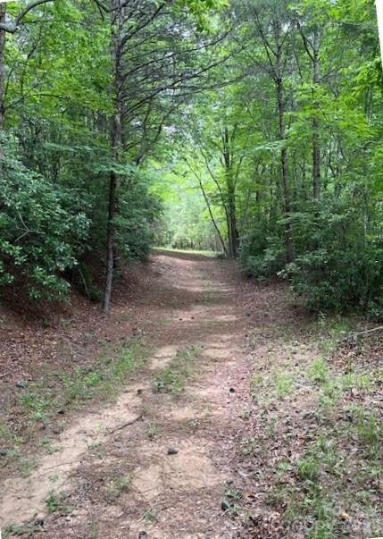 Lot 46 Lake Adger Parkway Mill Spring NC 28756