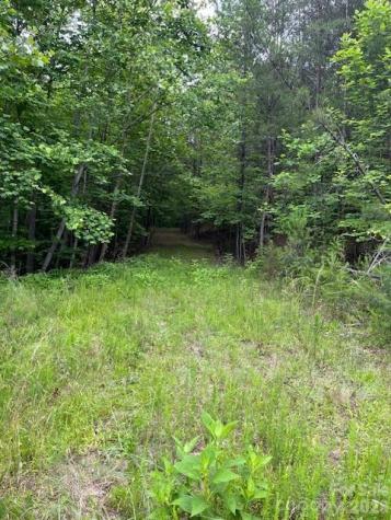 Lot 46 Lake Adger Parkway Mill Spring NC 28756
