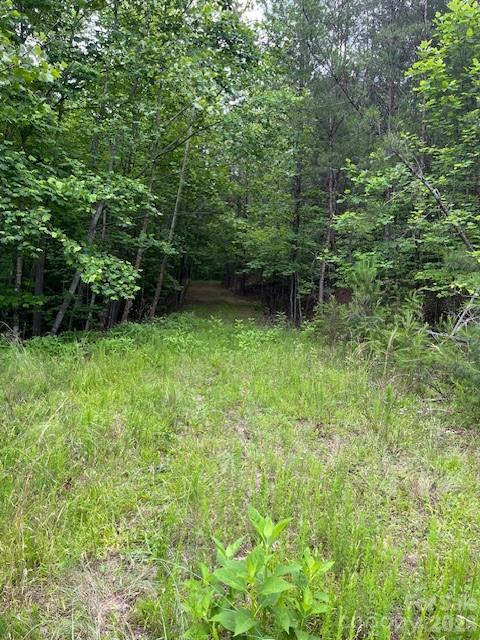 Lot 46 Lake Adger Parkway Mill Spring NC 28756