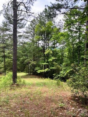 Lot 46 Lake Adger Parkway Mill Spring NC 28756