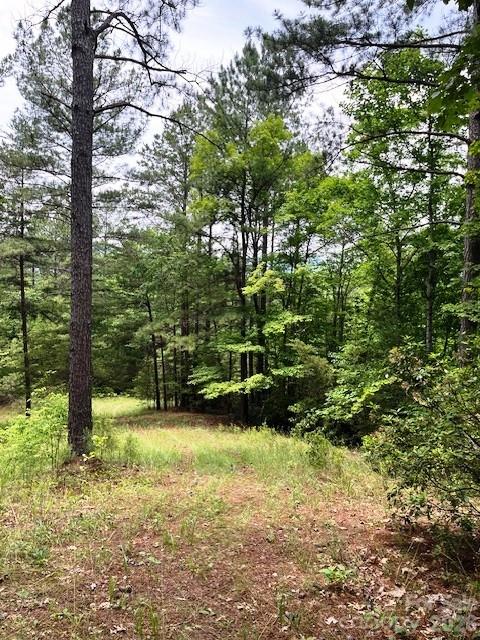 Lot 46 Lake Adger Parkway Mill Spring NC 28756