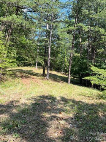 Lot 46 Lake Adger Parkway Mill Spring NC 28756
