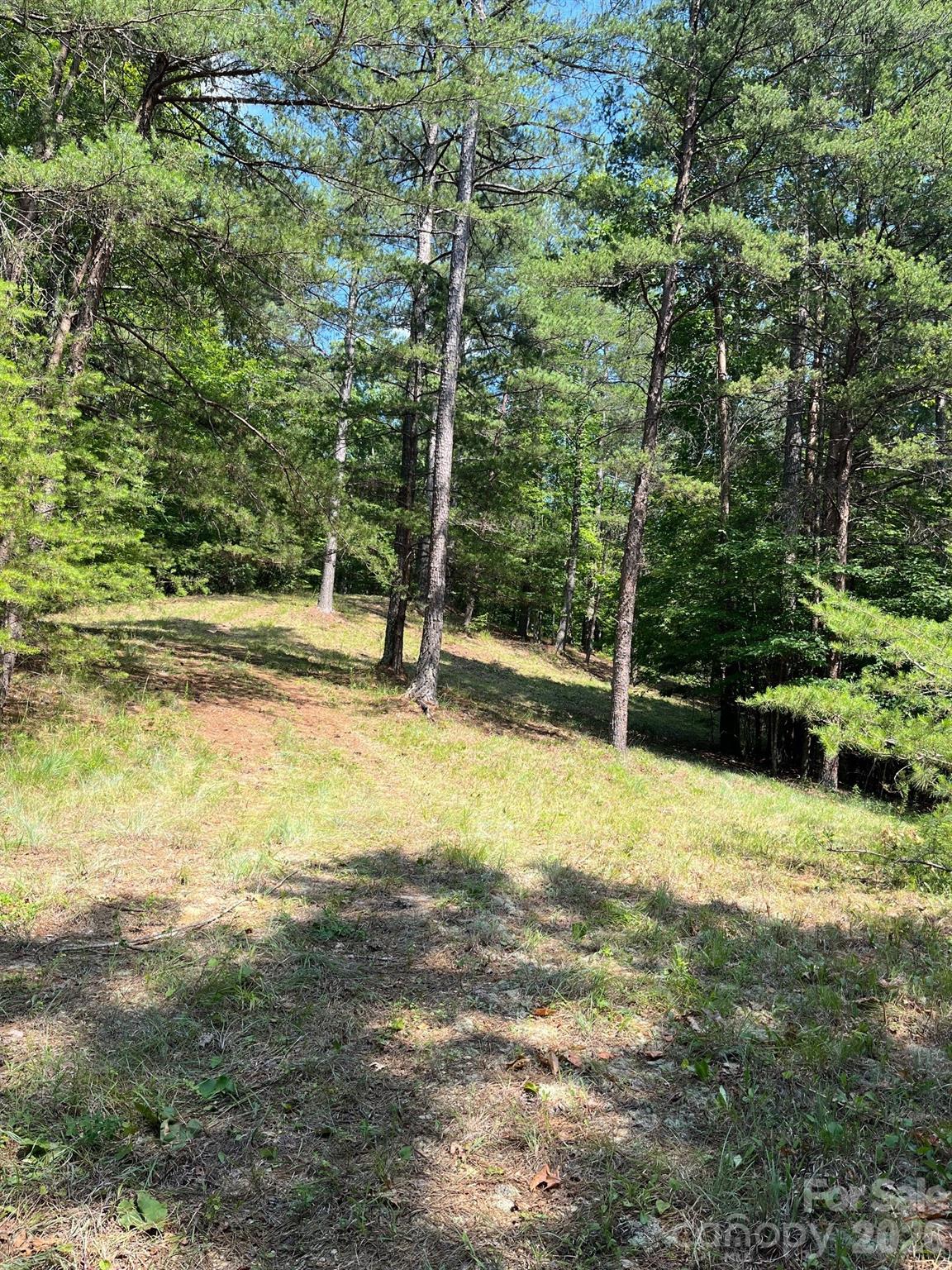 Lot 46 Lake Adger Parkway Mill Spring NC 28756