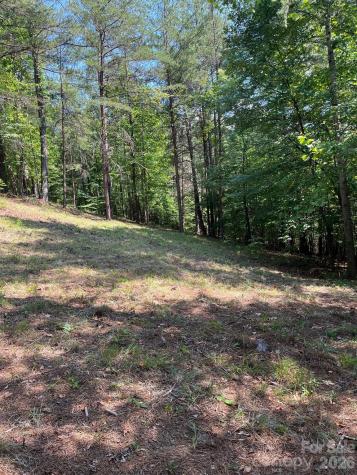 Lot 46 Lake Adger Parkway Mill Spring NC 28756