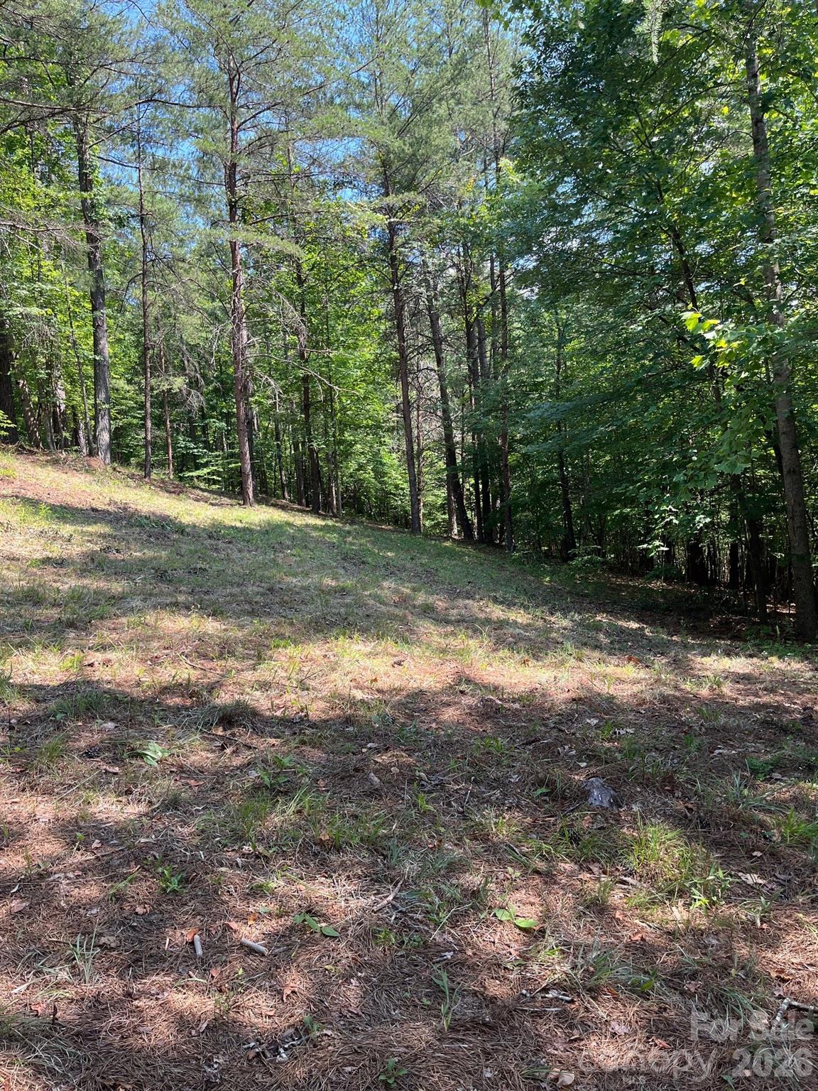 Lot 46 Lake Adger Parkway Mill Spring NC 28756