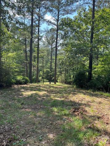 Lot 46 Lake Adger Parkway Mill Spring NC 28756