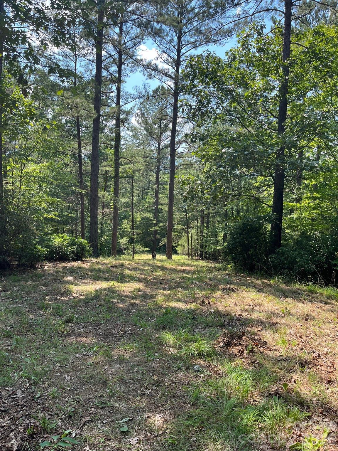 Lot 46 Lake Adger Parkway Mill Spring NC 28756