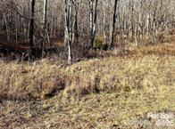 108 Lanning Road Clyde NC 28721