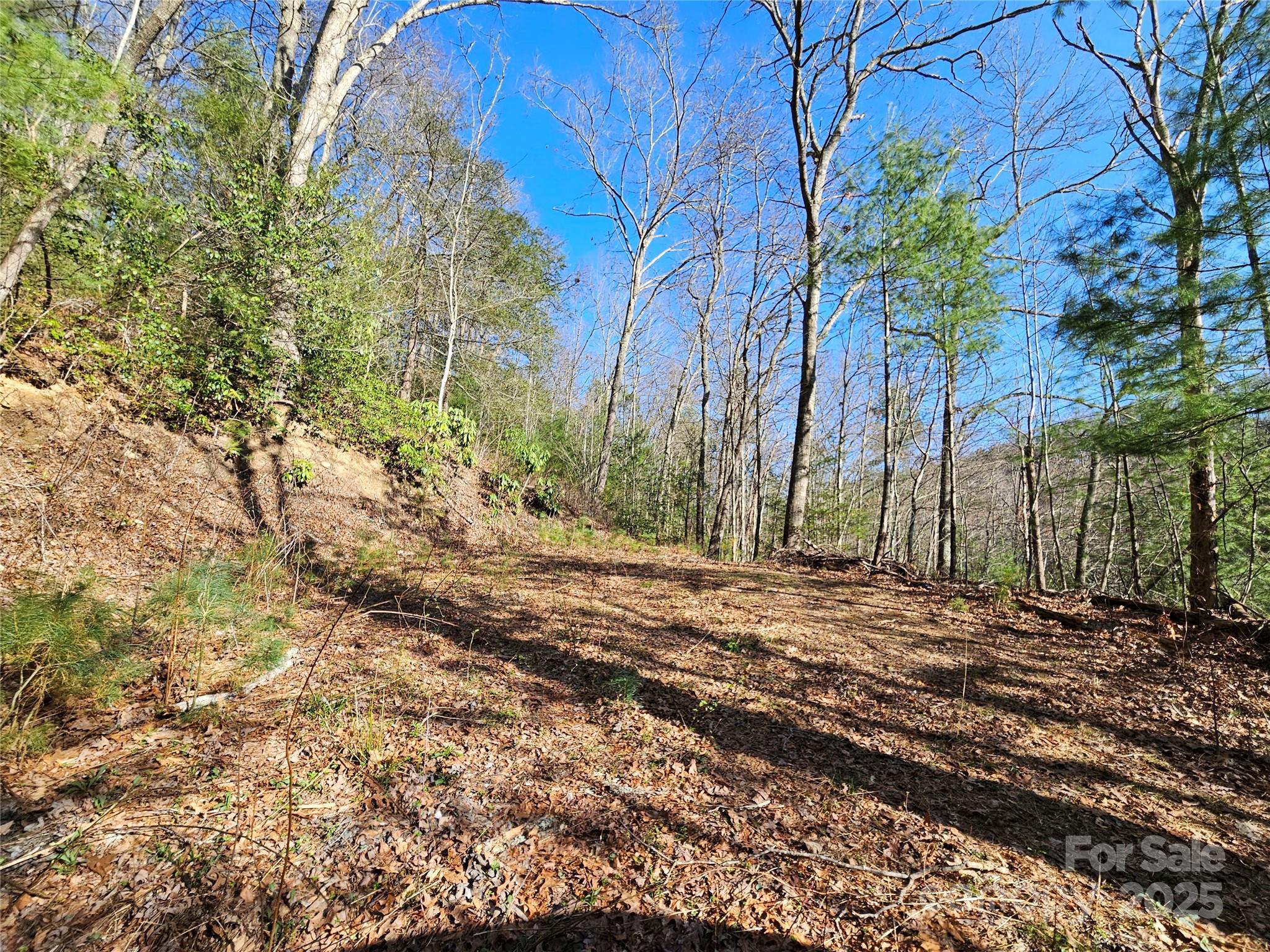 0 Laurel Branch Road Waynesville NC 28785